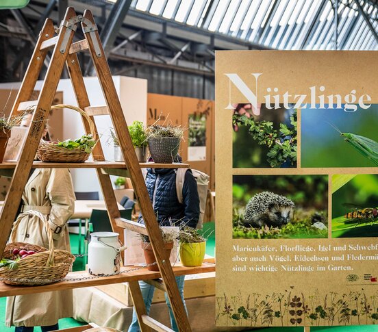 © Congress Messe Innsbruck © Congress Messe Innsbruck